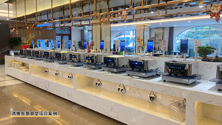 深圳鴻博智成科技有限公司