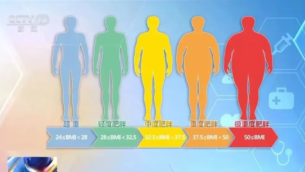 深圳鴻博智成科技有限公司